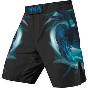 Shorts de boxe sans Gi sublimés en Spandex/Polyester respirants et à séchage rapide, personnalisables – Meilleures ventes - Product Image 1