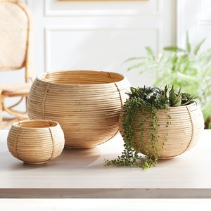 Accesorios para plantas de interior, cesta de ratán para plantas, maceta decorativa para guardar plantas verdes - Product Image 5