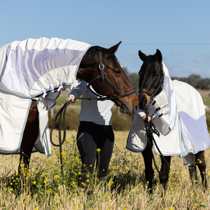 Manta Impermeable para Caballo de Invierno con Cuello, Relleno de 300 GSM, Manta Resistente para Exteriores |   Herrajes de Acero Inoxidable Transpirables - Product Image 5