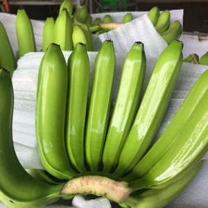 Frutas Frescas/Bananas Cavendish Verdes/Bananas Dulces - Marca Pham Gia, 6 Meses de Duración - Product Image 1
