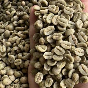 Grains de café vert Arabica vietnamien de haute qualité, calibre 18, non torréfiés, naturels et traités au miel, pour torréfaction, approvisionnement en vrac - Product Image 6