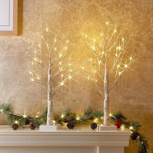 Decorazioni Natalizie da Interno, Albero di Betulla LED Bianco Caldo 2 FT, Albero di Natale con Luci, Decorazione Albero dei Spiriti - Product Image 1