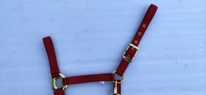 Halter de Nailon de Alta Calidad para Caballos y Mulas con Correa a Juego, Resistente, Duradero y en Colores Vibrantes, Disponible en Todos los Tamaños - Product Image 3