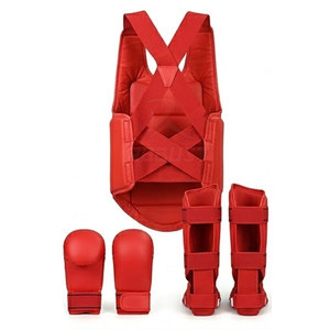 Ensemble de Taekwondo en cuir léger pour la pratique quotidienne et l'entraînement aux arts martiaux - Utilisation sûre, personnalisable - Product Image 2