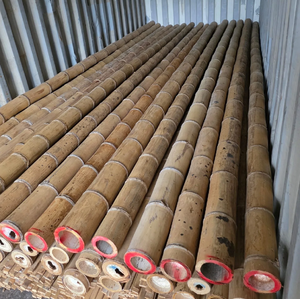 Postes de bambú tratados secos/bastones/postes de estacas para soporte de plantas de jardín crudas de bambú de Vietnam - Product Image 6