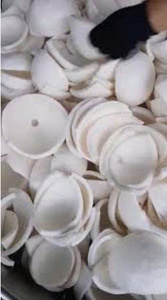 Iqf เนื้อมะพร้าวแช่แข็งเนื้อมะพร้าวธรรมชาติผลิตจากโรงงานในเวียดนาม - Product Image 3