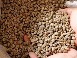 Grains de café Arabica d'origine vietnamienne de haute qualité Processus de miel entièrement lavé Goût neutre Emballé Sac de 2kg Faible quantité minimale de commande Prêt à expédier - Product Image 5