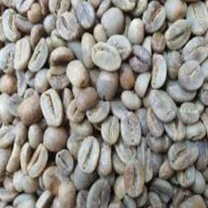 ผู้ผลิตเมล็ดกาแฟโรบัสต้าผสมธรรมชาติสีเขียวเกรดพรีเมียม AA สำหรับส่งออกจำนวนมาก - Product Image 6