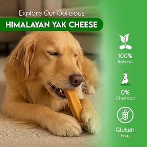 Dried Himalayan Yak Cheese Meat Chew Dogs Organic Material Nautical Animal Europe Origin 5inch Healthy Dog Food Tayyab - Product Image 6