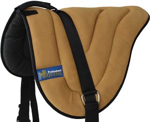 Cincha de Caballo de Lona de Alta Calidad con Hebillas de Acero Inoxidable, Refuerzo de Cuero y Forro de Fieltro - Product Image 1