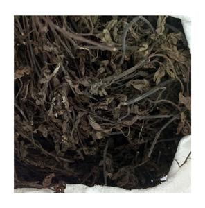 Hojas de hierba negra natural deshidratadas para procesamiento alimentario, proveedor vietnamita confiable, gran cantidad disponible - Product Image 1