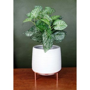 Maceta Biodegradable de Corcho para Suculentas, Decoración para el Hogar y la Oficina - Product Image 2