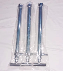 Instrumentos Quirúrgicos Veterinarios para Caballos 2024, Bomba de Administración Oral, Latón Cromado - Product Image 1