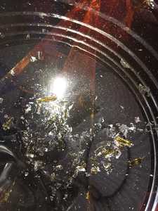 Resina de Goma Natural WW en Tambor para Almacenamiento UD. Star Laboratories Surabaya - Product Image 2