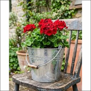 Pot de fleurs moderne en métal galvanisé, seau à plantes vintage rustique en fer, pot décoratif pour jardin extérieur - Product Image 3