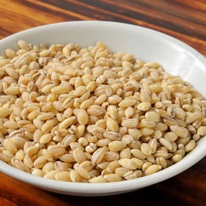 Orge biologique sélectionnée pour l'alimentation animale – Céréale séchée 100 % naturelle – Approvisionnement en vrac pour l'exportation mondiale - Product Image 3
