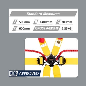 เข็มขัดนิรภัยสำหรับแข่งรถ FIA Certified SPORT PLUS 3 แบบ 6 จุด พร้อมระบบปรับแบบดึงลง สำหรับนักแข่งมืออาชีพ - Product Image 5