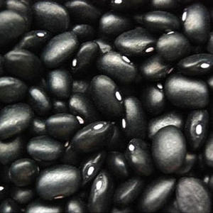 Frijoles Negros de Primera Calidad, Limpios y Clasificados, en Presentaciones de 25/50 kg, Disponibles Ahora en Stock a Precio Accesible - Product Image 1