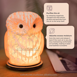 Lámpara de Sal del Himalaya Esencial para una Vida Acogedora, Ambiente Cálido, Hermosa Lámpara de Sal del Himalaya - Product Image 6