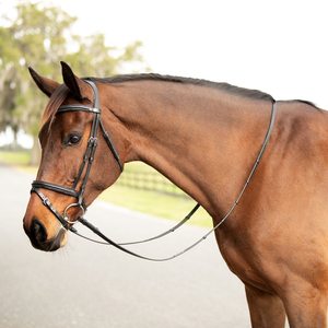 Bridon d'équitation anglais DYNAMICS GALLERY en cuir véritable fait main, style western, double couture, rênes confortables - Product Image 1