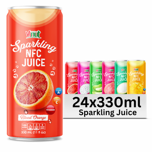 Jugo de Mango VINUT Sparkling 27, 330 ml x 24 Latas, Botella de Plástico - Product Image 3