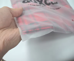 Bolsas de Plástico Mate Esmerilado al por Mayor con Cierre Superior y Logotipo Personalizado para Empaque de Ropa - Product Image 1