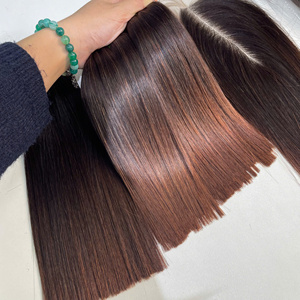 Cabello Virgen Vietnamita de Calidad Superior, Liso, con Puntas Marrones, Tejido a Máquina con Doble Trama, 100g - Product Image 1