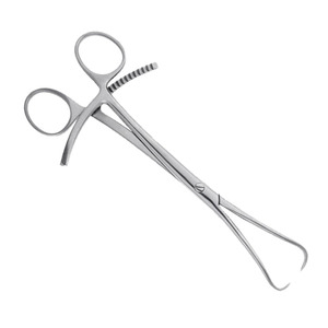 Pinces à fragments en acier inoxydable, disponibles dans toutes les qualités et tailles, instruments chirurgicaux orthopédiques vétérinaires pour animaux - Product Image 3