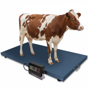 เครื่องชั่งน้ำหนักสัตว์ดิจิตอล 1 ตัน เครื่องชั่งน้ำหนักอิเล็กทรอนิกส์สำหรับงานหนัก สำหรับใช้ในฟาร์มและสัตวแพทย์ - Product Image 4