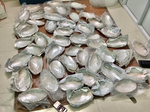 Décorations de Ramadan, incrustation de nacre, plat de coquille, Ramadan Mubarak grand disque de coquillage, cadeau OEM emballage personnalisé - Product Image 5