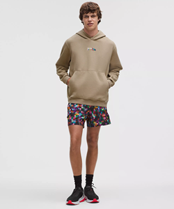 Sweat à capuche unisexe en molleton 100% coton, coupe classique, logo personnalisé, brodé, coupe ample, OEM, automne, Steady State Pride - Product Image 5