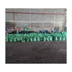 ปุ๋ยทางชีวภาพสำหรับไก่ปุ๋ยอินทรีย์ปุ๋ยไก่อบแห้ง - Product Image 4