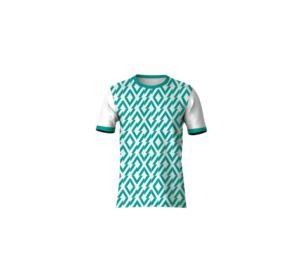 T-shirt graphique personnalisé à manches courtes col rond en polyester léger 210g imprimé par sublimation de haute qualité pour hommes et femmes, style décontracté - Product Image 1
