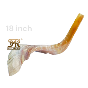 Shofar de Cuerno de Carnero Natural Pulido de Alta Calidad, Ecológico, Instrumento Religioso Judío, Hecho a Mano, Cuerno Tradicional para la Oración - Product Image 2