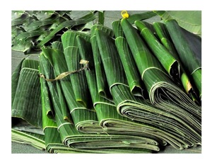HOJAS DE BANANO PARA ALIMENTACIÓN Y DECORACIÓN/TEXTURA NATURAL/ELECCIÓN DE ALTA CALIDAD/HECHO EN VIETNAM - Product Image 1