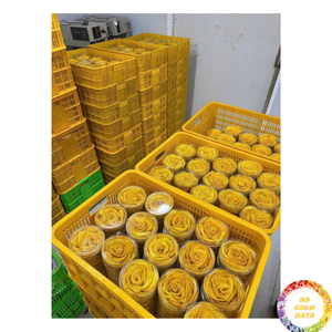 มะม่วงอบแห้งรสชาติอร่อย หวานธรรมชาติ เนื้อนุ่ม ผ่านกระบวนการ AD พร้อมรับประทาน อายุการเก็บรักษา 12 เดือน บรรจุภัณฑ์ขายส่งแบบสุญญากาศ - Product Image 6