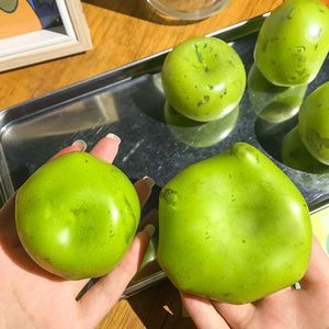 ของเล่นบีบ TPR เนื้อนุ่มเหนียว รุ่นมัทฉะโกโก้ ซีรีส์ปีใหม่ 2025 สุดฮิต บรรเทาความเครียด - Product Image 1