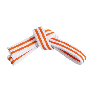 Vente en gros à prix réduits Ceintures d'arts martiaux pour hommes et femmes, ceintures de karaté et de Jiu Jitsu, vente en gros, logo personnalisé OEM, broderie, ceinture de Jiu Jitsu - Product Image 2