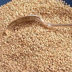 Semillas de Sésamo Marrón Cuidadosamente Seleccionadas, Listas para Exportación, Empaque a Granel para Compradores Importadores que Buscan un Suministro de Ingredientes Naturales Ricos en Aceite - Product Image 5