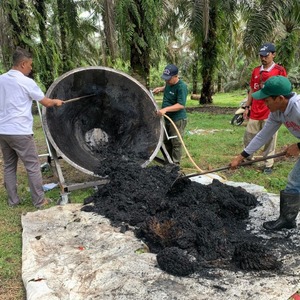 Biochar, Carbón Vegetal, EFB, Residuos de Racimos de Frutas, Pirólisis, Fertilizante Biológico Granular, 80% Carbono, Mejora la Fertilidad del Suelo, Aumenta la Productividad - Product Image 2