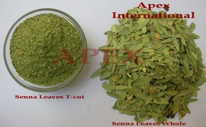 ผงใบเซนนา 3 (Cassia Angustifolia) แห้ง รุ่น SENNA 3 จากรัฐราชสถาน อินเดีย ผู้ผลิตและผู้ส่งออกรายใหญ่ - Product Image 4
