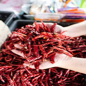 Piments entiers en vrac - 100% purs - Distributeur et grossiste international FitTree - Product Image 4