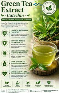 Hgo สารสกัดจากชาเขียวธรรมชาติบริสุทธิ์ (เกรดอาหาร) ข้อมูลจำเพาะ80% catechin (สารสกัดมาตรฐาน) - Product Image 4