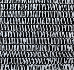 <strong>HDPE</strong> <strong>Shading</strong> <strong>Net</strong> Black 3x100m Paranet <strong>Shading</strong> <strong>Net</strong> 60% Agricultural Greenhouse <strong>Shading</strong> <strong>Net</strong> - Product Image 2