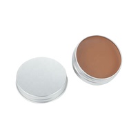Cire à Cicatrices Effet Spécial pour Maquillage Scénique, Modèle de Blessure Artificielle, Peinture Corporelle pour Halloween et Cosplay, Utilisation Faciale