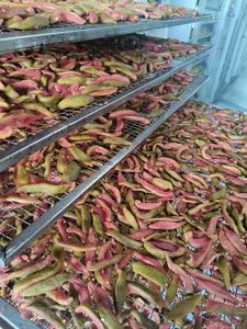 Goyaves séchées de qualité supérieure du Vietnam |   Tranches de goyave séchées sucrées |   Fournisseur en gros - Alex Truong - Product Image 2