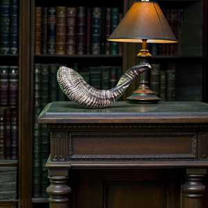 UO Craft Authentique Shofar en Corne de Bœuf Casher Entièrement Poli, Corne à Souffler Traditionnelle Naturelle Respirante pour Rosh Hashanah et Yom Kippur - Product Image 1