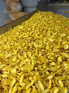 Chispas de Jaca Seca Madura Saborizadas, Fritas al Vacío, Naturalmente Dulces, Hechas con Aceite 100% Puro, Hechas con Jaca Madura Orgánica - Product Image 3