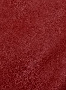 Cherry Red Electric Zipper Mono Leather <b>Pants</b> - Product Image 5