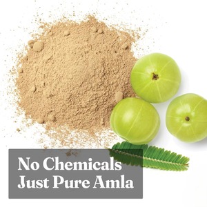 Poudre d'Amla Sauvage de Qualité Cosmétique Supérieure, Sans Produits Chimiques, 250g, 100% Naturelle, Fournisseur en Gros d'Inde - Product Image 2